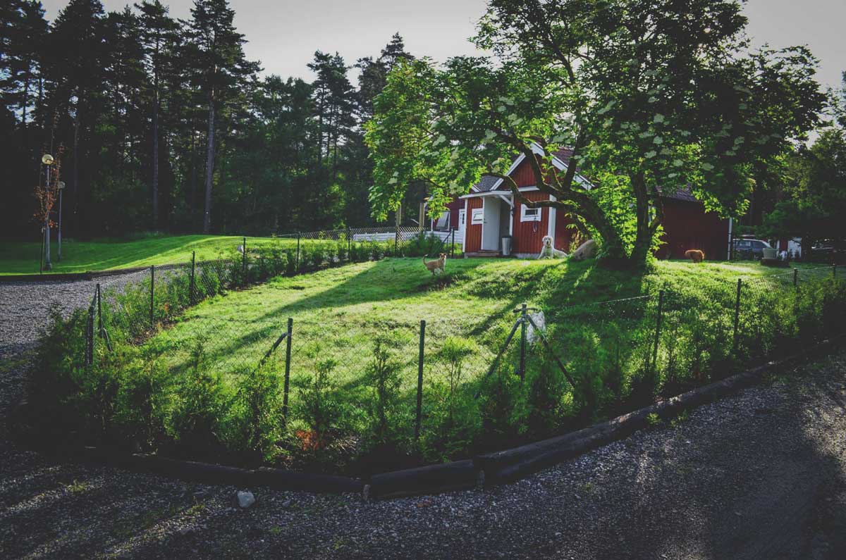 hunddagis stockholm hunddagis stockholm